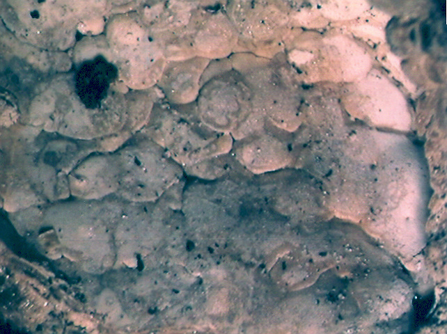 Vodni kamen