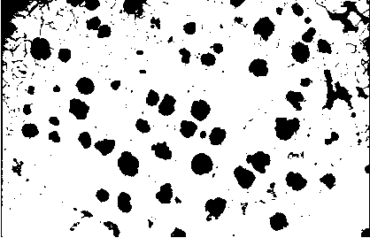 bwMikrostruktura.png