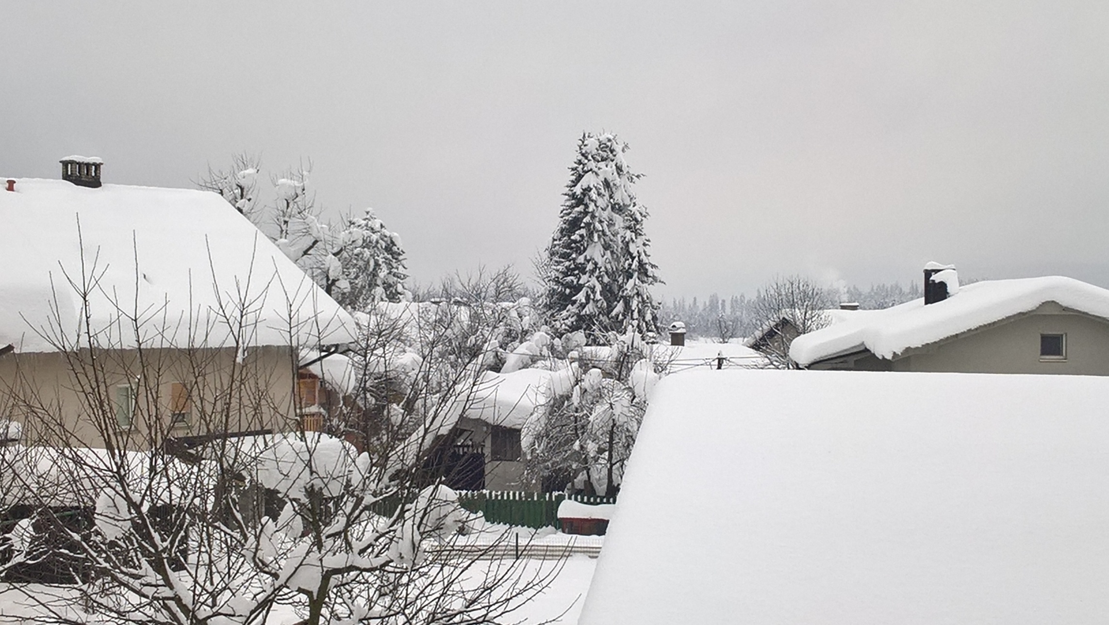 WP_20180207_12_00_41_Pro.jpg