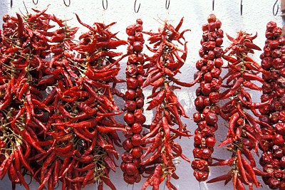 paprika.jpg