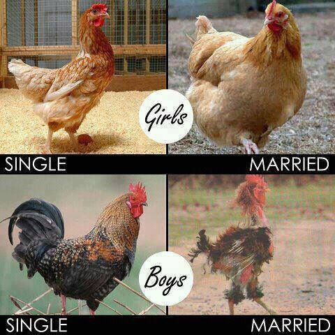Married.jpg